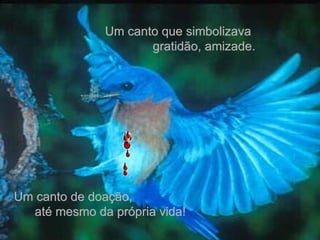 Um canto que simbolizava  gratidão, amizade. Um canto de doação,  até mesmo da própria vida! 