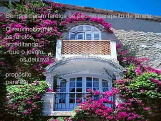 Sempre caiam farelos de pão no parapeito da janela. O rouxinol comia  os farelos, acreditando  que o jovem  os deixava de  propósito  para ele. 