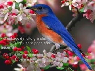 - Assim farei, respondeu a ave.- Assim farei, respondeu a ave.
É para a felicidade de um amigo!É para a felicidade de um amigo!
- O esforço é muito grande;- O esforço é muito grande;
seu peito pode nãoseu peito pode não
agüentar...agüentar...
 