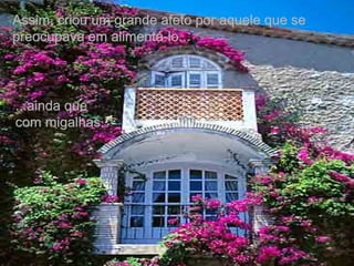 Assim, criou um grande afeto por aquele que seAssim, criou um grande afeto por aquele que se
preocupava em alimentá-lo...preocupava em alimentá-lo...
...ainda que...ainda que
com migalhas.com migalhas.
 