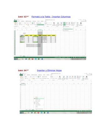 Lecc 13 ª Formato a la Tabla - Insertar Columnas
Lecc 14 ª Insertar y Eliminar Hojas
