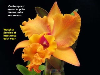 Contempla o amencer polo menos unha vez ao ano.   Watch a Sunrise at least once each year.   