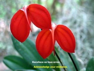 Recoñece os teus erros.   Acknowledge your mistakes.   