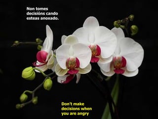 Non tomes decisións cando esteas anoxado.   Don’t make decisions when you are angry   