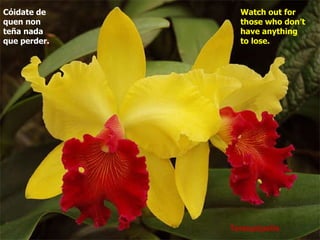 Terespópolis Cóidate de quen non teña nada que perder.   Watch out for those who don’t have anything to lose.   