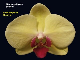 Mira aos ollos ás  persoas   Look people in the eye.   