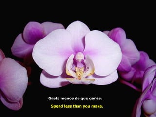 Gasta menos do que gañas.   Spend less than you make.   