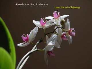 Aprende a escoitar, é unha arte. Learn the art of listening. 
