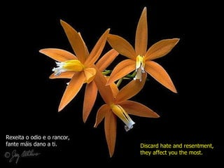 Rexeita o odio e o rancor,  fante máis dano a ti. Discard hate and resentment, they affect you the most. 