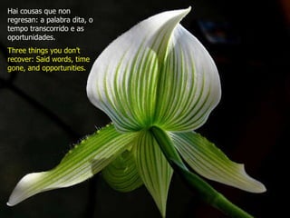 Hai cousas que non regresan: a palabra dita, o tempo transcorrido e as oportunidades. Three things you don’t recover: Said words, time gone, and opportunities. 