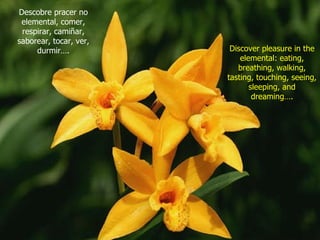 Descobre pracer no elemental, comer, respirar, camiñar, saborear, tocar, ver, durmir…. Discover pleasure in the elemental: eating, breathing, walking, tasting, touching, seeing, sleeping, and dreaming…. 