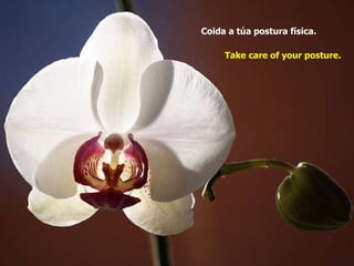 Coida a túa postura física.   Take care of your posture.   