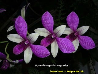 Aprende a gurdar segredos.   Learn how to keep a secret.   