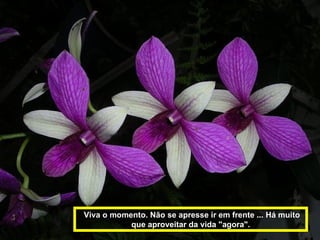 Viva o momento. Não se apresse ir em frente ... Há muito
           que aproveitar da vida "agora".
 