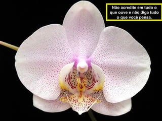 Não acredite em tudo o
que ouve e não diga tudo
   o que você pensa.
 