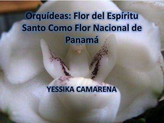 Orquídeas: Flor del Espíritu
Santo Como Flor Nacional de
Panamá
YESSIKA CAMARENA
 