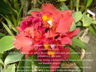 Amigos São Flores e Poemas Amigos são flores...  São flores plantadas ao longo do nosso caminho para que saibamos encontrar primavera o ano todo.  Quando o outono chega, cheio de beleza e melancolia, os amigos estão presentes nos trazendo alegria.  E, quando o inverno vem frio e escuro, trazendo saudades e noites longas, os amigos nos trazem calor e luz com o brilho da sua presença.  .  