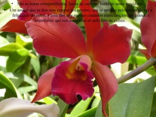 São as horas compartilhadas, horas de carinho, horas de amor e cuidado.  Um amigo que se doa sem esperar um retorno, que se entrega pelo prazer de ver a felicidade do outro, é uma flor que merece cuidados especiais; um ser grande e importante que nos emociona só pelo fato de existir.  