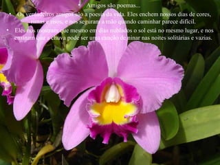 Amigos são poemas...  Os verdadeiros amigos são a poesia da vida. Eles enchem nossos dias de cores, rimas e risos, e nos seguram a mão quando caminhar parece difícil.  Eles nos mostram que mesmo em dias nublados o sol está no mesmo lugar, e nos ensinam que a chuva pode ser uma canção de ninar nas noites solitárias e vazias.  