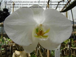 Um amigo é um bem precioso que não devemos deixar guardado numa caixinha de jóias, para usá-lo quando precisamos, mas tê-lo sempre presente junto a nós, mostrando ao mundo que riqueza mesmo é ter um verdadeiro amigo.   