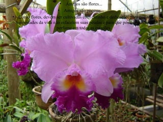 Amigos são flores...  Amigos são poemas...  Como flores, devem ser cultivadas com carinho e dedicação, para que as tempestades da vida não esfacelem suas pétalas e para que possamos ter seu perfume em todas as estações.  