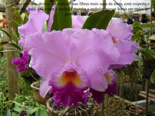 Como poemas, devem ser sentidos nas fibras mais sutis da alma, com respeito e gratidão, para que sejam a melodia risonha a embalar nossas horas em todos os períodos do ano..  