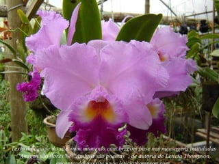 Texto da equipe do site www.momento.com.br, com base nas mensagens intituladas “Amigos são flores” e “Amigos são poemas”, de autoria de Letícia Thompson, encontrados no site www.leticiathompson.com  