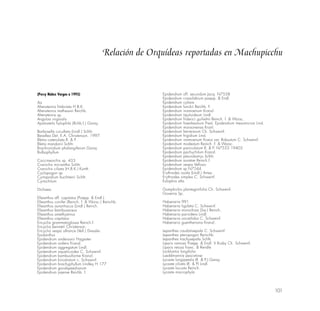 101
(Percy Núñez Vargas a 1995)
Aa
Altensteinia fimbriata H.B.K.
Altensteinia mathewsii Reichb.
Altensteinia sp.
Anguloa virginalis
Apatostelis hylophila {Rchb.f.) Garay.
Barbosella cucullata (Lindl.) Schltr.
Beadlea Det. E.A. Christenson, 1997.
Bletia catenulata R. & P.
Bletia mandonii Schltr.
Brachionidium phalangiferum Garay
Bulbophyllum
Coccineorchis sp. 433
Cranichis micrantha Schltr.
Cranichis ciliata (H.B.K.) Kunth.
Cyclopogon sp
Cyrtopodium buchtienii Schltr.
Cyrtochitum
Dichaea
Elleanthus aff. capitatus (Poepp. & Endl.)
Elleanthus conifer (Reinch. f. & Worsc.) Reinchb.
Elleanthus aurantiacus (Lindl.) Reinch.
Elleanthus bambusaceus
Elleanthus amethystinus
Elleanthus capitatus
Encyclia grammatoglossa Reinch.f.
Encyclia bennetii Christenson.
Encyclia vespa alliance (Vell.) Dressler.
Epidanthus
Epidendrum andersonii Hagsater
Epidendrum ardens Kranzl.
Epidendrum aggregatum Lindl.
Epidendrum aquaticoides C. Schweinf.
Epidendrum bambusiforme Kranzl.
Epidendrum birostratum c. Schweinf.
Epidendrum brachyphyllum Lindley H 177
Epidendrum goodspeedianum
Epidendrum jajense Reichb. f.
Epidendrum off. secundum Jacq. N7558
Epidendrum crassilabium poepp. & Endl.
Epidendrum cyliare
Epidendrum funckii Reichb. F.
Epidendrum inamoenum Kranzl.
Epidendrum tipuloideum Lindl.
Epidendrum friderici guilielmi Reinch. f. & Worsc.
Epidendrum haenkeanum Presl. Epidendrum mesomicron Lind.
Epidendrum monsonensa Kranl.
Epidendrum herrerarum Ch. Schweinf.
Epidendrum frigidium Lind.
Epidendrum inamoenum Kranz var. Robustum C. Schweinf.
Epidendrum modestum Reinch. F. & Warsc.
Epidendrum paniculatum R. & P. N7553 19405
Epidendrum pachychilum Kranzl.
Epidendrum pleurobotrys Schltr.
Epidendrum soratae Reinch.f.
Epidendrum vespa Vellozo
Epidendrum sp N7544
Erythrodes ovala (Lindl.) Ames.
Erythrodes simplex C. Schweinf.
Eulophia alta
Gomphichis plantaginifolia Ch. Schweinf.
Govenia Sp.
Habenaria 991
Habenaria ligulata C. Schweinf.
Habenaria monorhiza (Sw.) Reinch.
Habenaria parvidens Lindl.
Habenaria uncatiloba C. Schweinf.
Habenario guentheriana Kranzl.
Lepanthes caudatisepala C. Schweinf.
Lepanthes pteropogon Reinchb.
Lepanthes trachysepala Schltr.
Liparis ramosa Poepp. & Endl. V Rusby Ch. Schweinf.
Liparis retusa Fawc. & Rendle
Lockhartia longifolia
Lueddmannia pescatorei
Lycaste longipetala (R. & P.) Garay
Lycaste ciliata (R. & P) Lindl.
Lycaste locusta Reinch.
Lycaste macrophyla
Relación de Orquídeas reportadas en Machupicchu
 