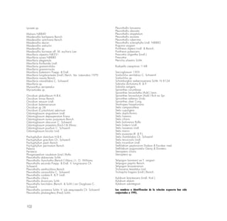 102
Lycaste sp.
Malaxis N8849
Masdevallia barlaeana Reinch.
Masdevallia veitchiana Reinch.
Masdevallia davisii
Masdevallia welischii
Masdevallia sp.
Masdevallia karineae aff. M. eucharis Luer
Maxillaria alpestris N8331
Maxillaria aurea N8880
Maxillaria elegantula
Maxillaria floribunda Lindl.
Maxillaria gramminifolia
Maxillaria gramminisola
Maxillaria batemanii Poepp. & Endl.
Maxillaria longibracteata (Lindl.) Reich. Var. Luteorubra 1970
Maxillaria nasuta Reinch.
Maxillaria rotundilabia C. Schweinf.
Maxillaria sp.
Myoxanthus serripetalus
Myrosmodes sp.
Oncidium globuliferum H.B.K.
Oncidium minax Reinch.
Oncidium retusum Lindl.
Oncidium batemanianum
Oncidium sp 58
Oncidium (Cyrtochilum) zebrinum
Odontoglossum angustatum Lindl.
Odontoglossum depauperatum Kranz.
Odontoglossum aureo purpureum Reinch.
Odontoglossum obscurum C. Schweinf.
Odontoglossum praestans Rinch.f.& Warsc.
Odontoglossum pusillum C. Schweinf.
Odontoglossum bicolor Lind.
Pachyphyllum distichum H.B.K.
Pachyphyllum gracillum Ch. Schweinf.
Pachyphyllum pastii Reinch.
Pachyphyllum pectinatum Reinch.
Pelexia
Peristeria
Phragmipedium caudatum (Lind.) Rolle.
Pleurothallis abbreviata Schltr.
Pleurothallis rhynchatha (Reinch.f.Warsc.) L. O. Williams.
Pleurothallis secunda Poepp. & Endl. V. longiracena Ch.
Schweinf.
Pleurothallis xanthochlora Reinch.
Pleurothallis carnosifolia C. Schweinf.
Pleurothallis cordata R. & P. Lindl.
Pleurothallis ciliaris
Pleurothallis divaricans Schlt.
Pleurothallis lancilabris (Reinch. & Schlt.) var Oxyglossa C.
Schweinf.
Pleurothallis juninensis Schltr. V. sub aequisepala Ch. Schweinf.
Pleurothallis phalangifera (Presl) Schltr.
Pleurothallis lanceana
Pleurothallis obovata
Pleurothallis otopetalum
Pleurothallis revoluta
Pleurothallis ruberrima
Pleurothallis sclerophylla Lindl. N8883
Pogonia vargasii
Ponthieva diptero Lindl. & Reinch.
Ponthieva pubescens
Prescottia oligantha (Lindl.)
Prescottia
Pterichis silvestris Schltr.
Rusbyella caespitosa 1148
Saccoglossum 1503
Scelochilus serrilabius C. Schweinf.
Scelochilus sp.
Schomburgkia webervauerana Schltr. N 8124
Sobralia dichotoma R. & P.
Sobralia satigera
Spiranthes corymbosa
Spiranthes lanceolatha (Aubl.) Leon.
Spiranthes lanceolotum (Aubl.) Rich ex Spr.
Spironthes saltensis Grisb.
Spiranthes ulaei Cong.
Stanhopea hasseloviana
Stelis campanulifera
Stelis cupuligera
Stelis dupliciformis
Stelis loxensis
Stelis ciliaris
Stelis boliviensis Rolfe.
Stelis lindenii Lindl.
Stelis loxoensis Lindl.
Stelis macro
Stelis purpurea (R. & P.)
Stelis rhombilabia Ch. Schweinf.
Stelis tenuicoulis Lindl.
Stelis tricardium Lindl.
Stellilabium peytonorum Dodson & Escobar ined.
Stellilabium pogonostalix Garay & Dunsterv.
Stenoptera ciliaris
Stenoptera sp.
Telipogon bonmanii ex T. vargasii
Telipogon papilio Reinch.
Telipogon brossierianum
Trichoceros tessalatus Lind.
Trichopilia fragans (Lindl.) Reinch.
Xylobium bractescens (Lindl. Kral.)
Xylobium elatum
Xylobium subintegrum.
Los nombres e identificación de la relación expuesta han sido
reajustados a 1995.
 