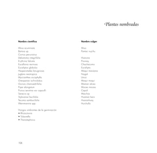 104
Nombre científico
Alnus acuminata
Bartsia sp.
Cornus peruvianus
Delostoma integrifolia
Erythrina falcata
Escallonia resinosa
Eucaliptus globulus
Hesperomeles lanuginosa
Juglans neotropica
Myrcianthes orcophylla
Oreopanax ischnolobus
Ourisia chamoedrifolia
Piper elongatum
Prunus serotina var capoulli
Senecio sp.
Styloceras laurifolia
Tecoma sambucifolia
Weinmannia spp.
Hongos simbiontes de la germinación
• Rhizoctonia
• Tulasnella
• Thanatephorus
Nombre vulgar
Aliso
Pantac nujchu
Huaruna
Pisonay
Chachacomo
Eucalipto
Maqui manzana
Nogal
Unca
Maqui maqui
Maman alcea
Moceo moceo
Capulí
Maichas
Huaman kero
Huaranhuay
Huichullo
Plantas nombradas
 
