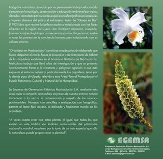 Empresa de Generación Eléctrica Machupicchu S.A.
Avda. Machupicchu s/n Central Térmica Dolorespata.
Teléfonos: 084 - 263419 - 233750 - 235058
E-Mail: postmast@egemsa.com.pe
Fotógrafo naturalista conocido por su permanente trabajo relacionado
siempre con la ecología, conservación y educación ambiental por varias
décadas;recordadoporinsistentesexposicionesfotográficasenocasiones
y lugares diversos del país y el extranjero. Autor de “Qosqo en flor”
(1992) libro que resume la belleza escénica relacionada con las flores
silvestres en la región del Cusco. Abel Rodríguez Arzubialde, cusqueño,
(convenciano) ecologista por consecuencia y formación personal, vuelve
a tocar las puertas de la conciencia humana para relacionarla con su
valioso entorno.
“Orquídeas en Machupicchu” constituye una descripción elaborada que
busca despertar el interés hacia la presencia y características de hábitat
de las orquídeas existentes en el Santuario Histórico de Machupicchu.
Meticuloso trabajo que llevó años de investigación y que se presenta
oportunamente frente a la constante y peligrosa agresión a que está
expuesto el entorno natural y particularmente las orquídeas; tema por
lo demás poco divulgado, referido a esta Área Natural Protegida por el
Estado Patrimonio Cultural y Natural de la Humanidad.
La Empresa de Generación Eléctrica Machupicchu S.A. mediante esta
obra invita a compartir admirables sorpresas de nuestro entorno natural
invocando a la vez a la conservación y respeto de los recursos
patrimoniales. Narrado con sencillez y enriquecido con fotografías,
permite al lector fácil acceso, al delicado y fascinante mundo de las
orquídeas.
“A veces cuesta creer que estas plantas al igual que todas las que
existen en este ámbito son también conformantes del patrimonio
nacional y mundial, requieren por lo tanto de un trato especial que sólo
la naturaleza puede proporcionar a plenitud”.
 