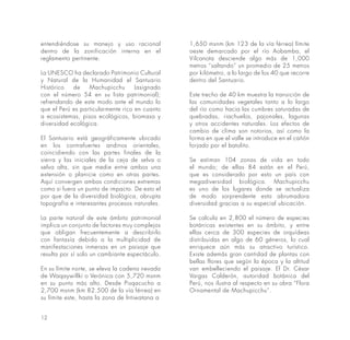 12
entendiéndose su manejo y uso racional
dentro de la zonificación interna en el
reglamento pertinente.
La UNESCO ha declarado Patrimonio Cultural
y Natural de la Humanidad el Santuario
Histórico de Machupicchu (asignado
con el número 54 en su lista patrimonial);
refrendando de este modo ante el mundo lo
que el Perú es particularmente rico en cuanto
a ecosistemas, pisos ecológicos, biomasa y
diversidad ecológica.
El Santuario está geográficamente ubicado
en los contrafuertes andinos orientales,
coincidiendo con las partes finales de la
sierra y las iniciales de la ceja de selva o
selva alta, sin que medie entre ambos una
extensión o planicie como en otras partes.
Aquí convergen ambas condiciones extremas
como si fuera un punto de impacto. De esto el
por que de la diversidad biológica, abrupta
topografía e interesantes procesos naturales.
La parte natural de este ámbito patrimonial
implica un conjunto de factores muy complejos
que obligan frecuentemente a describirlo
con fantasía debido a la multiplicidad de
manifestaciones inmersas en un paisaje que
resulta por sí solo un cambiante espectáculo.
En su límite norte, se eleva la cadena nevada
de Waqaywillki o Verónica con 5,720 msnm
en su punto más alto. Desde Pisqacucho a
2,700 msnm (km 82.500 de la vía férrea) en
su límite este, hasta la zona de lntiwatana a
1,650 msnm (km 123 de la vía férrea) límite
oeste demarcado por el río Aobamba, el
Vilcanota desciende algo más de 1,000
metros “saltando” un promedio de 25 metros
por kilómetro, a lo largo de los 40 que recorre
dentro del Santuario.
Este trecho de 40 km muestra la transición de
las comunidades vegetales tanto a lo largo
del río como hacia las cumbres saturadas de
quebradas, riachuelos, pajonales, lagunas
y otros accidentes naturales. Los efectos de
cambio de clima son notorios, así como la
forma en que el valle se introduce en el cañón
forjado por el batolito.
Se estiman 104 zonas de vida en todo
el mundo; de ellas 84 están en el Perú,
que es considerado por esto un país con
megadiversidad biológica. Machupicchu
es uno de los lugares donde se actualiza
de modo sorprendente esta abrumadora
diversidad gracias a su especial ubicación.
Se calcula en 2,800 el número de especies
botánicas existentes en su ámbito, y entre
ellas cerca de 300 especies de orquídeas
distribuidas en algo de 60 géneros, lo cual
enriquece aún más su atractivo turístico.
Existe además gran cantidad de plantas con
bellas flores que según la época y la altitud
van embelleciendo el paisaje. El Dr. César
Vargas Calderón, autoridad botánica del
Perú, nos ilustra al respecto en su obra “Flora
Ornamental de Machupicchu”.
 