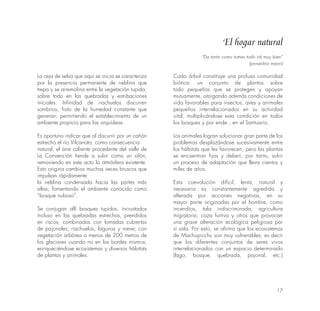 17
El hogar natural
La ceja de selva que aquí se inicia se caracteriza
por la presencia permanente de neblina que
trepa y se arremolina entre la vegetación tupida,
sobre todo en las quebradas y estribaciones
iniciales. Infinidad de riachuelos discurren
sombríos, fruto de la humedad constante que
generan, permitiendo el establecimiento de un
ambiente propicio para las orquídeas.
Es oportuno indicar que al discurrir por un cañón
estrecho el río Vilcanota, como consecuencia
natural, el aire caliente procedente del valle de
La Convención tiende a subir como un sifón,
removiendo en este acto la atmósfera existente.
Esto origina cambios muchas veces bruscos que
impulsan rápidamente
la neblina condensada hacia las partes más
altas, fomentando el ambiente conocido como
“bosque nuboso”.
Se conjugan allí bosques tupidos, incrustados
incluso en las quebradas estrechas, prendidos
en riscos, combinados con lomadas cubiertas
de pajonales; riachuelos, lagunas y nieve; con
vegetación arbórea a menos de 200 metros de
los glaciares cuando no en los bordes mismos;
enriqueciéndose ecosistemas y diversos hábitats
de plantas y animales.
Cada árbol constituye una profusa comunidad
biótica: un conjunto de plantas sobre
todo pequeñas que se protegen y apoyan
mutuamente, otorgando además condiciones de
vida favorables para insectos, aves y animales
pequeños interrelacionados en su actividad
vital, multiplicándose esta condición en todos
los bosques y por ende , en el Santuario.
Los animales logran solucionar gran parte de los
problemas desplazándose sucesivamente entre
los hábitats que les favorecen; pero las plantas
se encuentran fijas y deben, por tanto, sufrir
un proceso de adaptación que lleva cientos y
miles de años.
Esta coevolución difícil, lenta, natural y
necesaria es constantemente agredida y
alterada por acciones negativas, en su
mayor parte originadas por el hombre, como
incendios, tala indiscriminada, agricultura
migratoria, caza furtiva y otros que provocan
una grave alteración ecológica peligrosa por
sí sola. Por esto, se afirma que los ecosistemas
de Machupicchu son muy vulnerables; es decir
que los diferentes conjuntos de seres vivos
interrelacionados con un espacio determinado
(lago, bosque, quebrada, pajonal, etc.)
“Da tanto como tomes todo irá muy bien”
(proverbio maorí)
 