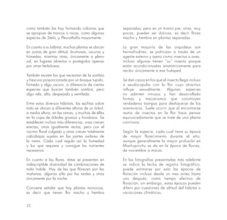 22
como también las hay formando colonias que
se apropian de troncos o rocas, como algunas
especies de Stelis, y Pleurothallis mayormente.
En cuanto a su hábitat, muchas plantas se ubican
en zonas de gran altitud, brumosas, oscuras y
húmedas; mientras otras, únicamente a pleno
sol, en lugares abiertos o protegidos apenas
por otras herbáceas.
También existen las que necesitan de la sombra
y frescura proporcionada por un bosque tupido,
húmedo y algo oscuro; a diferencia de ciertas
especies que buscan también sombra, pero
algo rala, alta, despejada y ventilada.
Entre estos diversos hábitats, las epifitas sobre
todo se ubican a diferentes alturas de un árbol,
a media altura, en las ramas, y muchas de ellas
en la copa de árboles gruesos y frondosos. Se
establecen incluso más diferencias, unas crecen
erectas, otras igualmente rectas, pero con el
racimo floral colgado y otras crecen totalmente
cabizbajas sujetas en las partes axilares de
la rama. Cada cual regula así la humedad
y luz que requiere y consigue los nutrientes
necesarios.
En cuanto a las flores, éstas se presentan en
indescriptible diversidad de combinaciones de
toda índole. Hay de las que florecen por las
mañanas, algunas sólo por las tardes y otras
únicamente por la noche.
Conviene señalar que hay plantas monoicas,
es decir que tienen flor macho y hembra
separadas, pero en un mismo pie; otras, muy
pocas, pueden ser dióicas, es decir flores
macho y hembra en plantas separadas.
La gran mayoría de las orquídeas son
hermafroditas; se polinizan a través de un
agente externo y ajeno como insectos o aves,
incluso algunas tienen “su” insecto porque
están acondicionadas anatómicamente para
recibir únicamente a ese huésped.
Se dan casos en los que el insecto llega incluso
a seudocopular con la flor cuyo atractivo
influye sexualmente. Algunas especies
no admiten intrusos y han desarrollado
formas y mecanismos que constituyen
verdaderas trampas para deshacerse de los
aventureros. Suele ocurrir que al encontrarse
restos de insectos en la flor hace pensar
equivocadamente que se trate de una planta
carnívora.
Según la especie, cada cual tiene su época
de mayor florecimiento durante el año,
aunque generalmente la mayor profusión en
Machupicchu se da en la época de lluvias,
de noviembre a marzo.
En las fotografías presentadas más adelante
se indica la fecha de registro fotográfico;
puede estimarse por esto las épocas de
floración incluso desde un mes antes hasta
uno después, como tiempo efectivo de
floración; sin embargo, estas épocas pueden
diferir por cuestiones de altitud del hábitat o
variaciones climáticas.
 