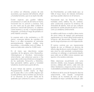 35
en cambio son diferentes, propias de este
ecosistema; que requieren del ambiente, altitud
y humedad reinante y que no se repite más allá.
Existen especies que pueden hallarse
únicamente en un radio de 50 metros en forma
horizontal mas no vertical o viceversa. Esta
es otra razón por la que debe cuidarse el
patrimonio natural del Santuario; no sabemos
cuánto tenemos y, es más, ni siquiera podemos
imaginarlo, corriendo el riesgo de perderlo sin
antes haberlo conocido.
La sorpresa está a dos centímetros o a 20
metros; numerosas plantas de orquídea con
flores o sin ellas acompañan al caminante
permanentemente, algunas visibles otras
escondidas o disimuladas entre el follaje. A
veces se duda estar sobre los 3,600 msnm.
En el tramo que describimos existen
orquídeas de los géneros cómo Myoxanthus,
Odontoglossum y Oncidium, mencionados
anteriormente, que sobreviven gracias a las
especiales condiciones climáticas convergentes
de las quebradas Yanacocha y Aobamba,
bajo persistente neblina, garúa y humedad
turbulentas durante buena parte del año.
A poco tiempo de caminar, ya próximo a
Phuyupatamarka (3,600 msnm), se llega
por la parte alta a una cuchilla angosta que
accede al flanco de la montaña que da hacia
el río Vilcanota. En la parte media de la
quebrada que conforma la cuenca y el sector
de Chachabamba, ya visible desde aquí, se
halla el mayor banco de Sobrolia dichotoma
que haya podido observar en el Santuario.
Nuevamente aquí, los factores de clima,
humedad, viento, neblina, frío, etc. cambian;
estas condiciones propician la existencia de
diversidad de plantas, tanto así que cualquier
perturbación resulta perjudicial para la ciencia
como ya señalamos anteriormente.
La neblina suele formar un amplio y denso manto
de varios metros de espesor que permanece
regularmente a la misma altitud propiciando la
formación del denominado “bosque nuboso”
que le otorga al paisaje una visión espectacular.
El camino continúa por una impresionante
bajada de casi un kilómetro en términos de
altitud y algo de dos en cuanto a longitud. Si bien
esta zona ha sido estudiada constantemente,
constituye sin embargo un permanente desafío
pues cada vez se hallan nuevas sorpresas que
aportan a los estudios anteriores.
Debe observarse escudriñando con suma
atención, árboles, rocas, bosques, sotobosque,
encima y debajo del camino, cada rama de
árbol, hendiduras y resquicios en las rocas. Es
incalculable la cantidad de orquídeas existentes.
A diferencia de la zona de Yanaqocha descrita
anteriormente, esta bajada corresponde
al flanco de la montaña de cara al este;
recibiendo la mayor cantidad de energía solar
 