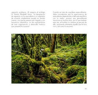 39
regresión ecológica. Al respecto el ecólogo
Dr. Ramón Margalef ilustra: “La designación
de regresión no es equivalente a un segmento
de sucesión simplemente tomado en sentido
inverso, sino que es siempre más irregular y con
frecuencia catastrófico, sin las características
de auto organización o desarrollo histórico
que presenta la sucesión”.
Cuando se trata de orquídeas especialmente,
debe considerarse que la supervivencia de
estas plantas depende de un delicado equilibrio
con su medio, proceso que generalmente
transcurre en muchos años, por lo que también
esta vez, el hombre no siempre se percata de
ello, asumiendo solamente aquello que le toca
vivir y tal como lo encontró.
 