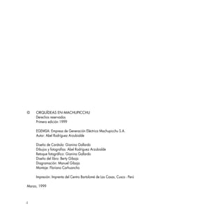 4
© ORQUÍDEAS EN MACHUPICCHU
Derechos reservados
Primera edición 1999
EGEMSA: Empresa de Generación Eléctrica Machupicchu S.A.
Autor: Abel Rodríguez Arzubialde
Diseño de Carátula: Gianina Gallardo
Dibujos y fotografías: Abel Rodríguez Arzubialde
Retoque fotográfico: Gianina Gallardo
Diseño del libro: Berty Gibaja
Diagramación: Manuel Gibaja
Montaje: Floriano Carhuancho
Impresión: Imprenta del Centro Bartolomé de Las Casas, Cusco - Perú
Marzo, 1999
 