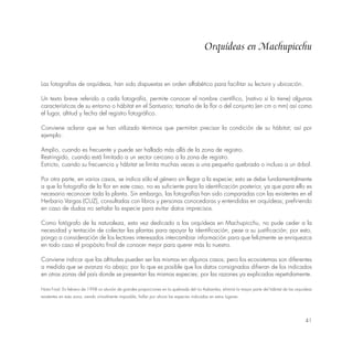 41
Las fotografías de orquídeas, han sido dispuestas en orden alfabético para facilitar su lectura y ubicación.
Un texto breve referido a cada fotografía, permite conocer el nombre científico, (nativo si lo tiene) algunas
características de su entorno o hábitat en el Santuario; tamaño de la flor o del conjunto (en cm o mm) así como
el lugar, altitud y fecha del registro fotográfico.
Conviene aclarar que se han utilizado términos que permitan precisar la condición de su hábitat; así por
ejemplo:
Amplio, cuando es frecuente y puede ser hallado más allá de la zona de registro.
Restringido, cuando está limitado a un sector cercano a la zona de registro.
Estricto, cuando su frecuencia y hábitat se limita muchas veces a una pequeña quebrada o incluso a un árbol.
Por otra parte, en varios casos, se indica sólo el género sin llegar a la especie; esto se debe fundamentalmente
a que la fotografía de la flor en este caso, no es suficiente para la identificación posterior, ya que para ello es
necesario reconocer toda la planta. Sin embargo, las fotografías han sido comparadas con las existentes en el
Herbario Vargas (CUZ), consultadas con libros y personas conocedoras y entendidas en orquídeas; prefiriendo
en caso de dudas no señalar la especie para evitar datos imprecisos.
Como fotógrafo de la naturaleza, esta vez dedicado a las orquídeas en Machupicchu, no pude ceder a la
necesidad y tentación de colectar las plantas para apoyar la identificación, pese a su justificación; por esto,
pongo a consideración de los lectores interesados intercambiar información para que felizmente se enriquezca
en todo caso el propósito final de conocer mejor para querer más lo nuestro.
Conviene indicar que las altitudes pueden ser las mismas en algunos casos; pero los ecosistemas son diferentes
a medida que se avanza río abajo; por lo que es posible que los datos consignados difieran de los indicados
en otras zonas del país donde se presentan las mismas especies; por las razones ya explicadas repetidamente.
Nota Final: En febrero de 1998 un aluvión de grandes proporciones en la quebrada del río Aabamba, eliminó la mayor parte del hábitat de las orquídeas
existentes en esta zona, siendo virtualmente imposible, hallar por ahora las especies indicadas en estos lugares.
Orquídeas en Machupicchu
 