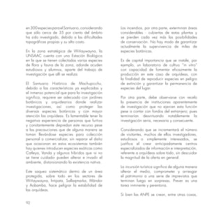 92
en300especiesparaelSantuario,considerando
que sólo cerca de 35 por ciento del ámbito
ha sido investigado, debido a las dificultades
topográficas propias y su alto costo.
En la zona estratégica de Wiñaywayna, la
UNSAAC cuenta con una Estación Biológica
en la que se tienen colectadas varias especies
de flora y fauna de la zona, adonde acuden
estudiosos y alumnos, aparte del trabajo de
investigación que allí se realiza.
El Santuario Histórico de Machupicchu,
debido a las características ya explicadas y
el inmenso potencial que para la investigación
significa, requiere ser adecuado con jardines
botánicos y orquidearios donde realizar
investigaciones, así como proteger las
diversas especies botánicas y con mayor
atención las orquídeas. Es lamentable tener la
negativa experiencia de personas que furtiva
y constantemente depredan este recurso pese
a las precauciones que de alguna manera se
toman llevándose especies para colección
personal o comercializar, sin reparar el daño
que ocasionan en estos ecosistemas también
hay quienes introducen especies exóticas como
Catleya, Vanda y algunos híbridos que -si no
se tiene cuidado- pueden alterar e invadir el
ambiente, distorsionando la existencia nativa.
Este saqueo sistemático dentro de un área
protegida, sobre todo en los sectores de
Wiñaywayna, lntipata, Sallaqmarka, Mándor
y Aobamba, hace peligrar la estabilidad de
las orquídeas.
Los incendios, por otra parte, exterminan áreas
considerables · cubiertas de estas plantas y
se pierden cada vez más las posibilidades
de conservación. No hay modo de garantizar
actualmente la supervivencia de miles de
especies botánicas.
Es de capital importancia que se instale, por
ejemplo, un laboratorio de cultivo “in vitro”
con capacidad de fomentar eficazmente la
producción en este caso de orquídeas, con
la finalidad de reproducir especies en peligro
de extinción y garantizar la permanencia de
especies del lugar.
Por otra parte, debe observarse con recelo
la presencia de instituciones aparentemente
de investigación que no ejercen esta función
pese a contar con fondos del extranjero; pues
terminarían desvirtuando notablemente la
investigación seria, necesaria y consecuente.
Considerando que se incrementará el número
de visitantes, muchos de ellos investigadores,
estudiosos o simplemente interesados, se
justifica el crear anticipadamente centros
especializados de información e interpretación,
referente a orquídeas sobre todo, sin descuidar
la magnitud de la oferta en general.
La incursión turística significa de alguna manera
alterar el medio, comprometer y arriesgar
el patrimonio a una serie de imprevistos que
terminan luego en sorpresas. Prever es una
tarea inminente y perentoria.
Si bien las ANPE se crean, entre otras cosas,
 