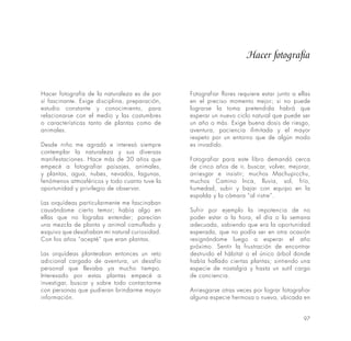 97
Hacer fotografía de la naturaleza es de por
sí fascinante. Exige disciplina, preparación,
estudio constante y conocimiento, para
relacionarse con el medio y las costumbres
o características tanto de plantas como de
animales.
Desde niño me agradó e interesó siempre
contemplar la naturaleza y sus diversas
manifestaciones. Hace más de 30 años que
empecé a fotografiar paisajes, animales,
y plantas, agua, nubes, nevados, lagunas,
fenómenos atmosféricos y todo cuanto tuve la
oportunidad y privilegio de observar.
Las orquídeas particularmente me fascinaban
causándome cierto temor; había algo en
ellas que no lograba entender; parecían
una mezcla de planta y animal camuflado y
esquivo que desafiaban mi natural curiosidad.
Con los años “acepté” que eran plantas.
Las orquídeas planteaban entonces un reto
adicional cargado de aventura, un desafío
personal que llevaba ya mucho tiempo.
Interesado por estas plantas empecé a
investigar, buscar y sobre todo contactarme
con personas que pudieran brindarme mayor
información.
Fotografiar flores requiere estar junto a ellas
en el preciso momento mejor; si no puede
lograrse la toma pretendida habrá que
esperar un nuevo ciclo natural que puede ser
un año o más. Exige buena dosis de riesgo,
aventura, paciencia ilimitada y el mayor
respeto por un entorno que de algún modo
es invadido.
Fotografiar para este libro demandó cerca
de cinco años de ir, buscar, volver, mejorar,
arriesgar e insistir; muchos Machupicchu,
muchos Camino Inca, lluvia, sol, frío,
humedad, subir y bajar con equipo en la
espalda y la cámara “al ristre”.
Sufrir por ejemplo la impotencia de no
poder estar a la hora, el día o la semana
adecuada, sabiendo que era la oportunidad
esperada, que no podía ser en otra ocasión
resignándome luego a esperar el año
próximo. Sentir la frustración de encontrar
destruido el hábitat o el único árbol donde
había hallado ciertas plantas; sintiendo una
especie de nostalgia y hasta un sutil cargo
de conciencia.
Arriesgarse otras veces por lograr fotografiar
alguna especie hermosa o nueva, ubicada en
Hacer fotografía
 