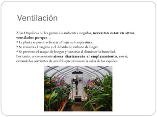 Ventilación A las Orquídeas no les gustan los ambientes cargados,  necesitan estar en sitios ventilados porque ... * La planta se puede refrescar al bajar su temperatura. * Se renueva el oxígeno y el dióxido de carbono del lugar. * Se previene el ataque de hongos y bacterias al disminuir la humedad. Por tanto, es conveniente  airear diariamente el emplazamiento , eso sí, evitando las corrientes de aire frío que provocan la caída de los capullos.  
