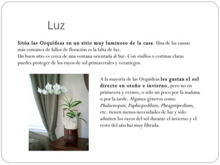 Luz Sitúa las Orquídeas en un sitio muy luminoso de la casa . Una de las causas más comunes de fallos de floración es la falta de luz. Un buen sitio es cerca de una ventana orientada al Sur. Con visillos o cortinas claras puedes proteger de los rayos de sol primaverales y veraniegos.  A la mayoría de las Orquídeas  les gustan   el sol directo en otoño e invierno , pero no en primavera y verano, o sólo un poco por la mañana o por la tarde. Algunos géneros como  Phalaenopsis, Paphiopedilum, Phragmipedium , etc. tienen menos necesidades de luz y sólo admiten los rayos del sol durante el invierno y el resto del año luz muy filtrada.  