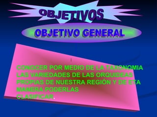 OBJETIVOS OBJETIVO GENERAL CONOCER POR MEDIO DE LA TAXONOMIA LAS VARIEDADES DE LAS ORQUIDEAS PROPIAS DE NUESTRA REGIÓN Y DE ETA MANERA PODERLAS CLASIFICAR .  