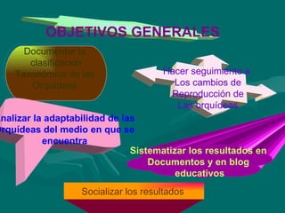 OBJETIVOS GENERALES  Documentar la  clasificación Taxonómica de las  Orquídeas  Hacer seguimiento a  Los cambios de  Reproducción de  Las orquídeas   Analizar la adaptabilidad de las  Orquídeas del medio en que se  encuentra   Sistematizar los resultados en  Documentos y en blog  educativos Socializar los resultados  