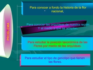 PROBLEMA  Para conocer a fondo la historia de la flor nacional ,  Para conocer las orquídeas de nuestra región Y al medio a que se adaptan. Para estudiar la posición taxonómica de las  Flores por medio de las orquídeas.  Para estudiar el tipo de genotipo que tienen  las flores.  