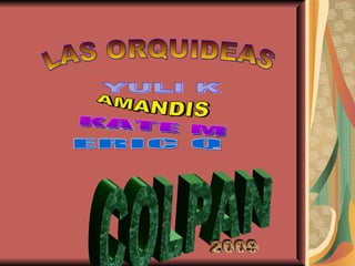 LAS ORQUIDEAS YULI K  AMANDIS KATE M ERIC Q COLPAN 2009 