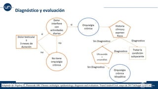 Orchalgia Algorithm ORQUIALGIA CRONICA, DOLOR TESTICULAR CRONICO | PDF