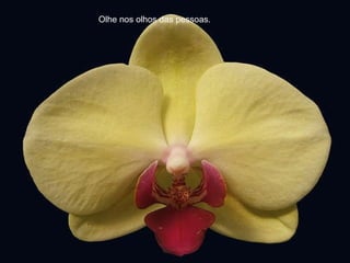 Olhe nos olhos das pessoas. 