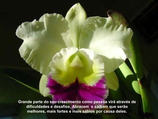 Grande parte do seu crescimento como pessoa virá através de dificuldades e desafios. Abracem  e saibam que serão melhores, mais fortes e mais sábios por causa deles. 