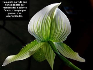 Há coisas na vida que nunca poderá ser recuperada: a palavra falada, o tempo que passou e as oportunidades. 